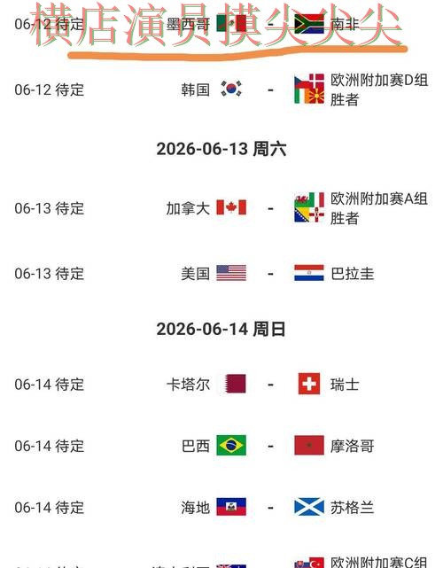 世界杯投注平台合集整理：用户反馈+直播全指南 - World Cup 2026